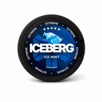 Iceberg
