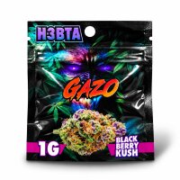 Gazo H3BTA