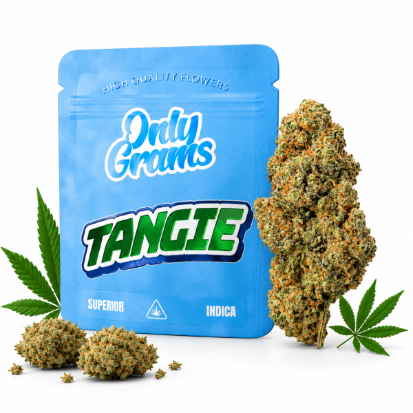 Only Grams Blüten | 40% Superior Blend | Tangie 1g