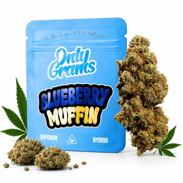 Only Grams Blüten | 40% Superior Blend | Blueberry Muffin 1g