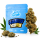 Only Grams Blüten | 40% Superior Blend | Blueberry Muffin 1g