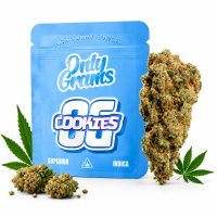 Only Grams Blüten | 40% Superior Blend | OG Cookies 1g