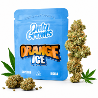 Only Grams Blüten | 40% Superior Blend | Orange Ice 1g