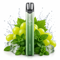 Elfbar 800 | Grape Mint Nikotinfrei