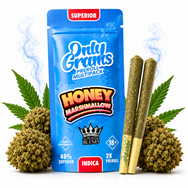 OnlyGrams® | 40% Superior Pre-Rolls (2 Stk.) | Honey Marshmallow 3g