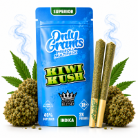 OnlyGrams® | 40% Superior Pre-Rolls (2 Stk.) | Kiwi...