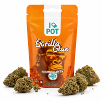 I LOVE POT HHZ Blüten | Gorilla Glue
