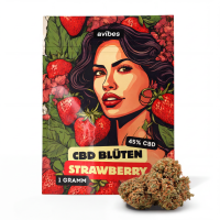 avibes® CBD Blüten | 45% CBD | Strawberry