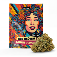 avibes® CBD Blüten | 45% CBD | Amnesia Kush