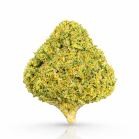 Amnesia Kush 1g | 0,2%