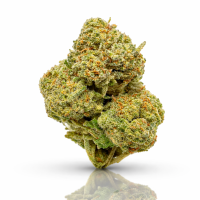 Tequila Sunrise 1g | 0.2%