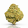 Tropical Fruit 1g | 0.2%