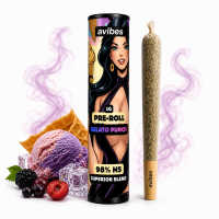 avibes® 98% H5 Superior Blend Pre-Roll | Gelato Punch