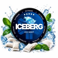 Iceberg Extreme | Ice Mint | Kautabak