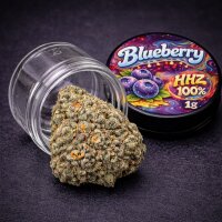 Prime Haze HHZ Blüten | Blueberry