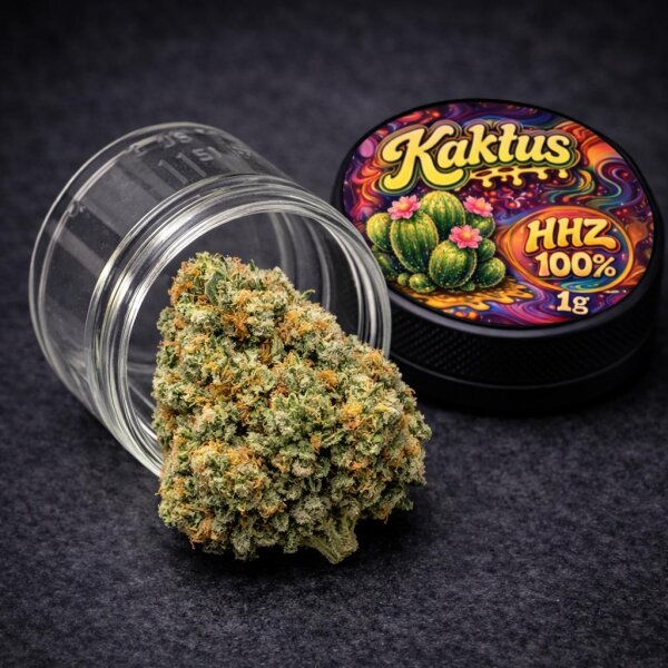 Prime Haze HHZ Blüten | Kaktus