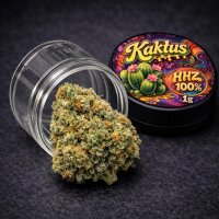 Prime Haze HHZ Blüten | Kaktus