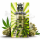 BOB HHZ Vape | Amnesia 1ml