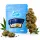Only Grams Bl&uuml;ten | 40% Superior Blend | Blueberry Muffin 1g