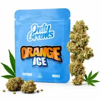 Only Grams Bl&uuml;ten | 40% Superior Blend | Orange Ice 1g
