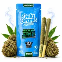 OnlyGrams&reg; | 40% Superior Pre-Rolls (2 Stk.) | Sour...