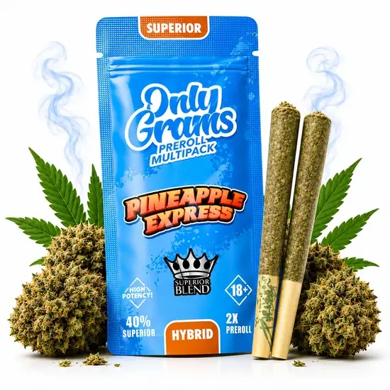 OnlyGrams&reg; | 40% Superior Pre-Rolls (2 Stk.) | Pineapple Express 3g
