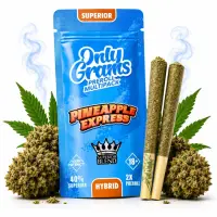 OnlyGrams&reg; | 40% Superior Pre-Rolls (2 Stk.) |...