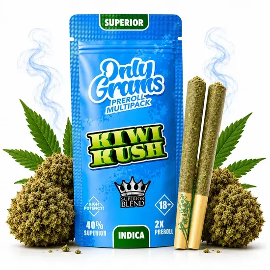 OnlyGrams&reg; | 40% Superior Pre-Rolls (2 Stk.) | Kiwi Kush 3g
