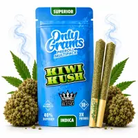 OnlyGrams&reg; | 40% Superior Pre-Rolls (2 Stk.) | Kiwi...