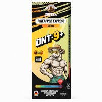 Sheesh DNT-9+ Vape Pineapple Express 2ml